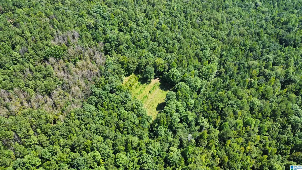 0 PLEASANT RIDGE CIRCLE, Elrod, AL 35555 - Image #1