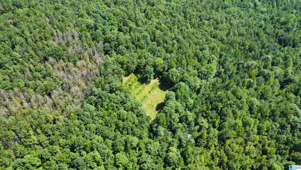 0 PLEASANT RIDGE CIRCLE, Tuscaloosa, AL 35555