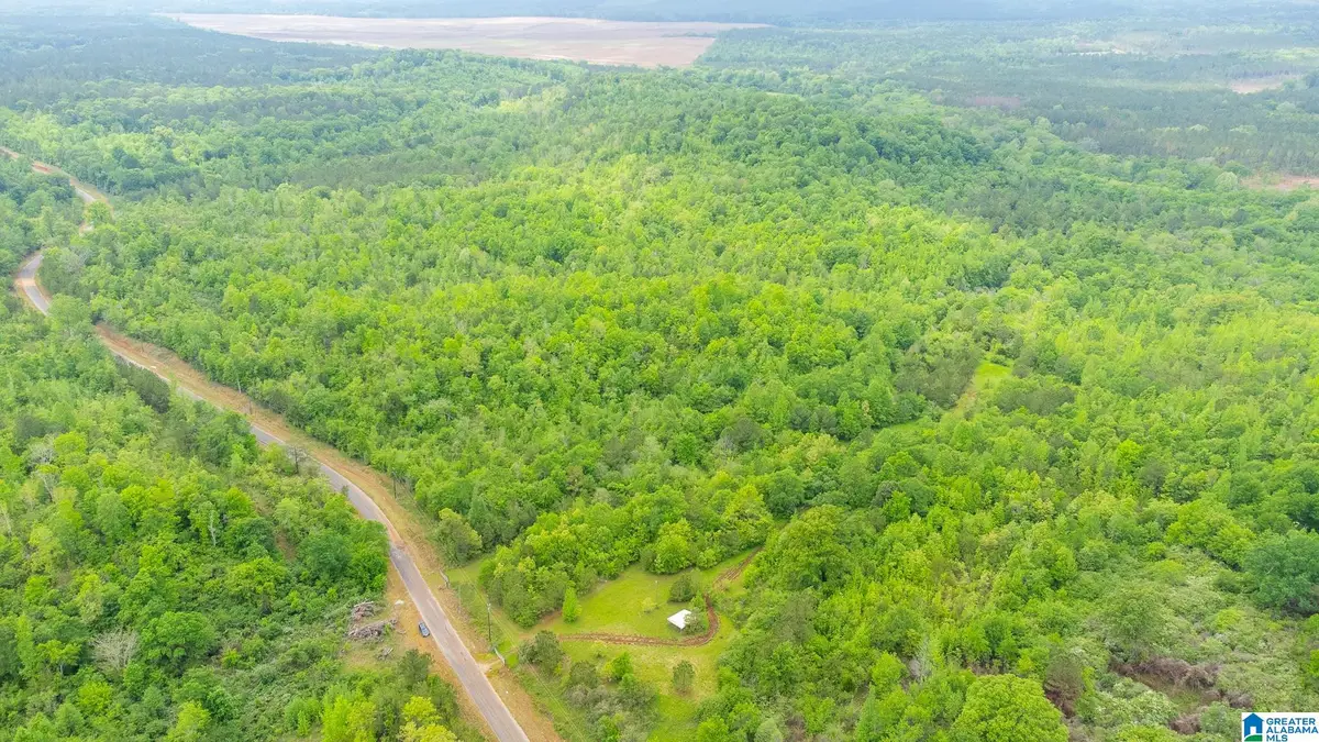 1432 MARDISVILLE ROAD, Talladega, AL 35160 - Image #1