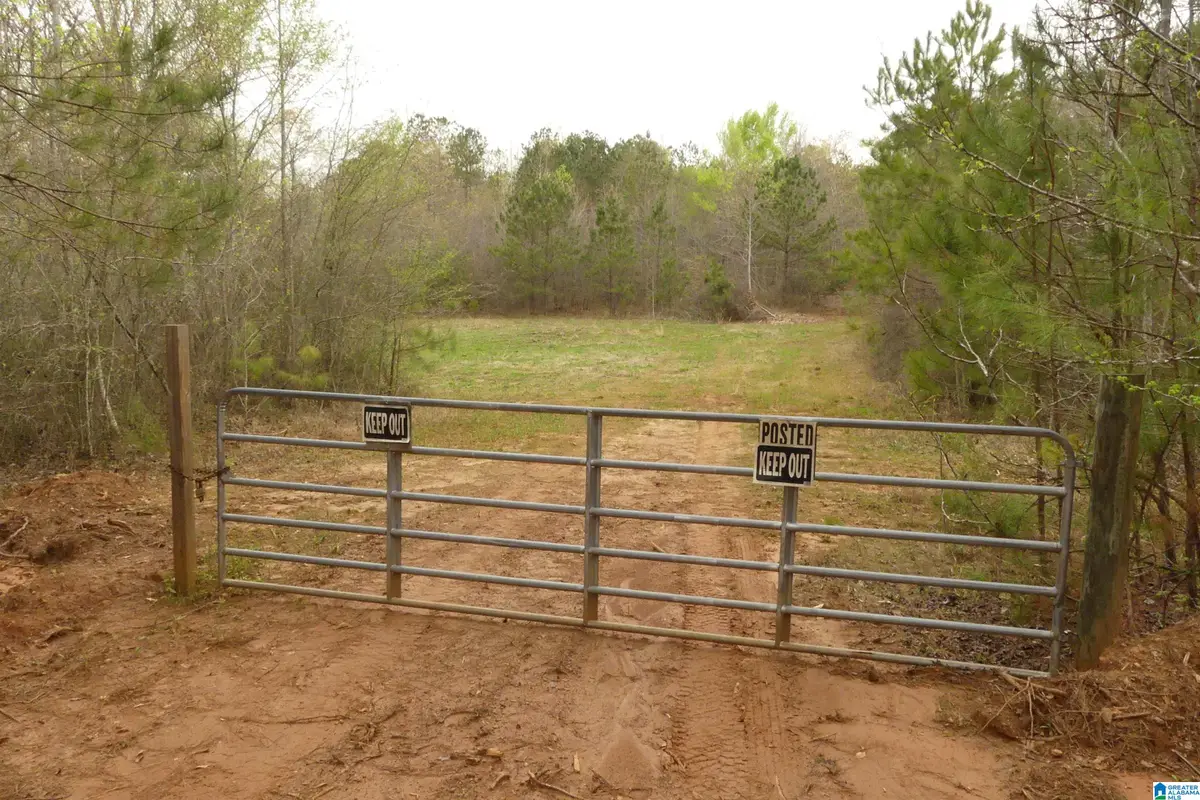 54 Acres COUNTY ROAD 15, Wedowee, AL 36278 - Image #1