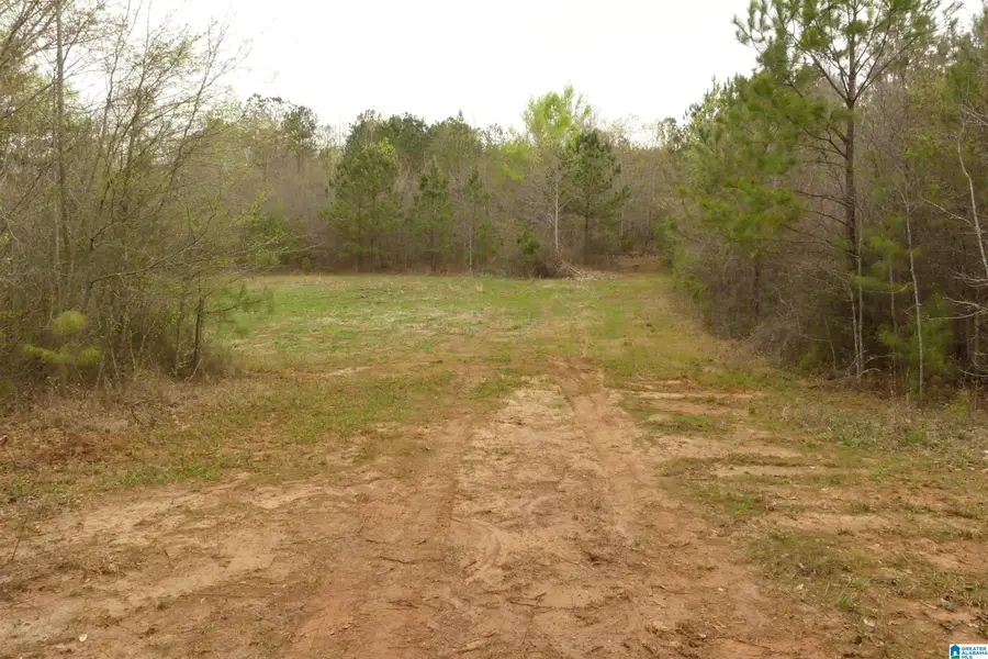 54 Acres COUNTY ROAD 15, Wedowee, AL 36278 - Image #2