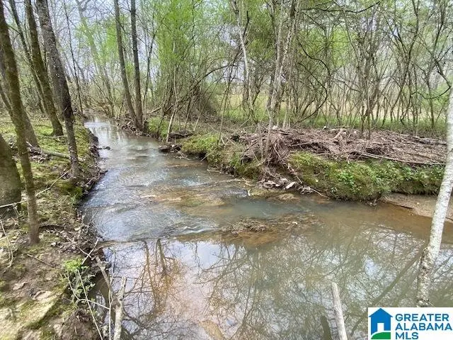 N WOLF CREEK ROAD, Pell City, AL 35125 - #1