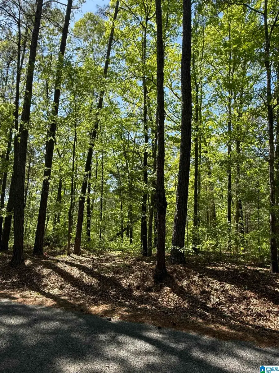 0 VICKS LANE, Sylacauga, AL 35151 - Image #2