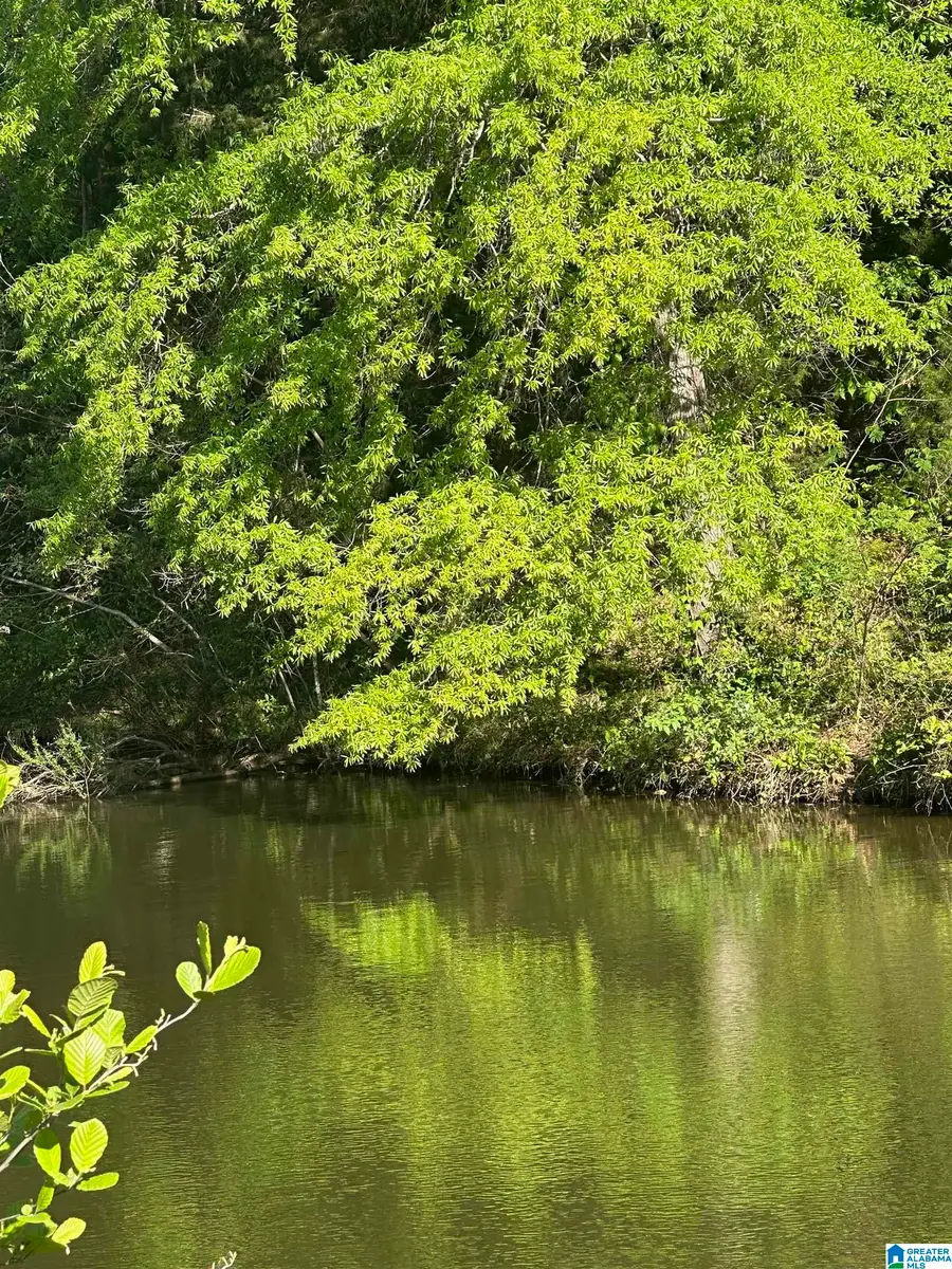 0 VICKS LANE, Sylacauga, AL 35151 - Image #3