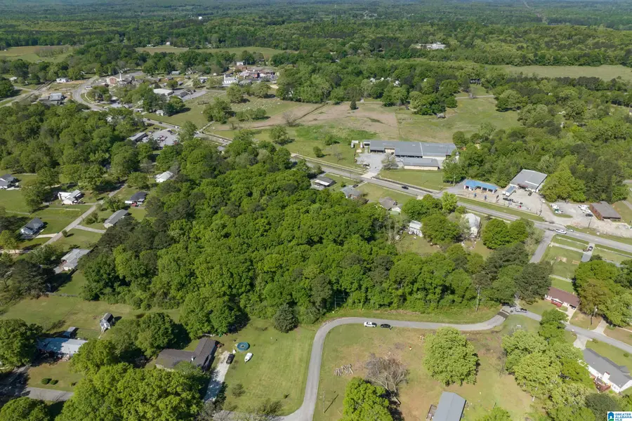Lot 1 SPEARMAN STREET, Wilsonville, AL 35186 - Image #2