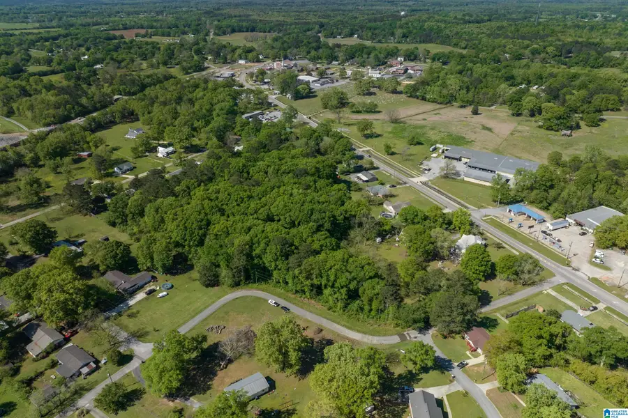Lot 1 SPEARMAN STREET, Wilsonville, AL 35186 - Image #3