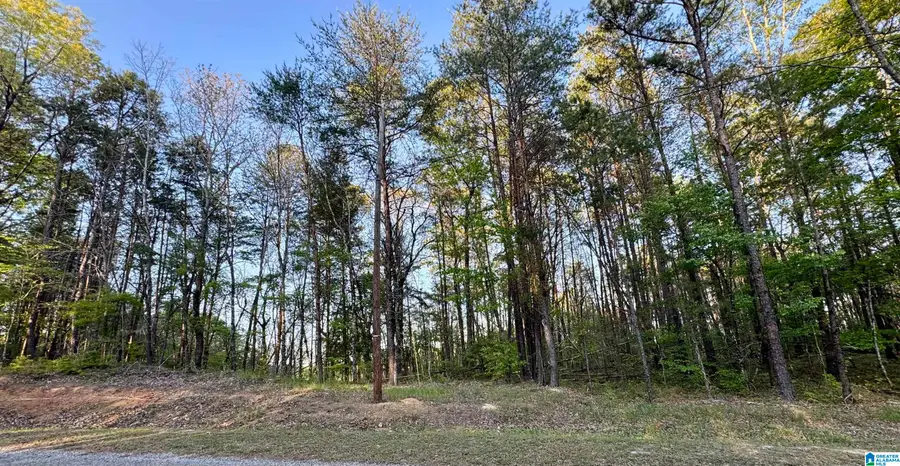 1485 HIAWATHA ROAD, Calera, AL 35040 - Image #2