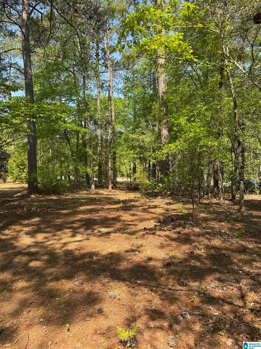 COUNTRY MANOR DRIVE, Sterrett, AL 35147 - Image #2