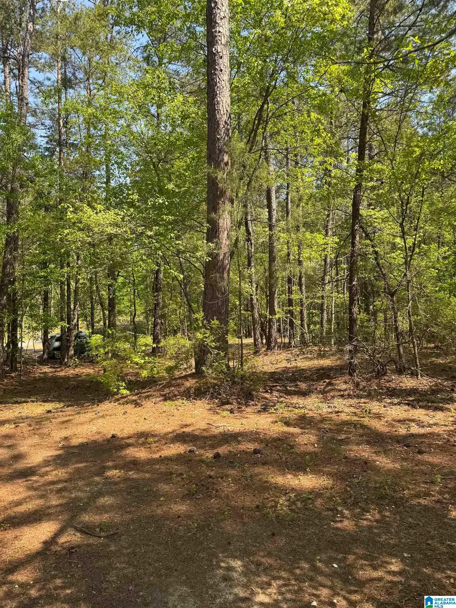 COUNTRY MANOR DRIVE, Sterrett, AL 35147 - Image #3