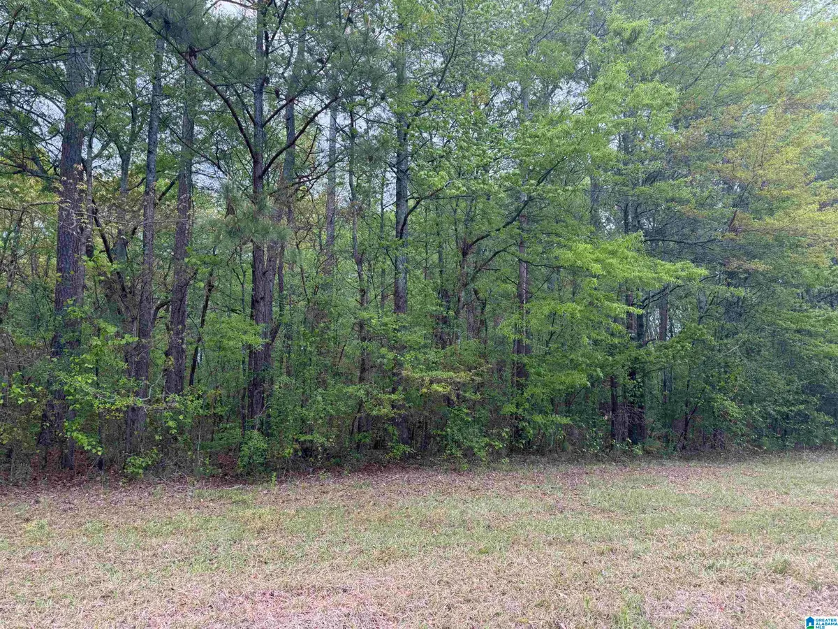 0 MISSISSIPPI STREET, Gadsden, AL 35903 - Image #1