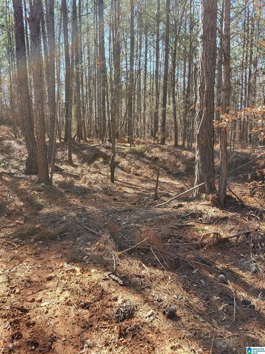 0 SERENITY LANE, Talladega, AL 35160 - Image #3