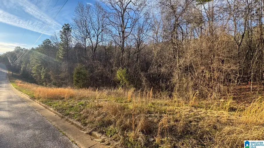 SOUTHRIDGE DRIVE, Talladega, AL 35160 - Image #2