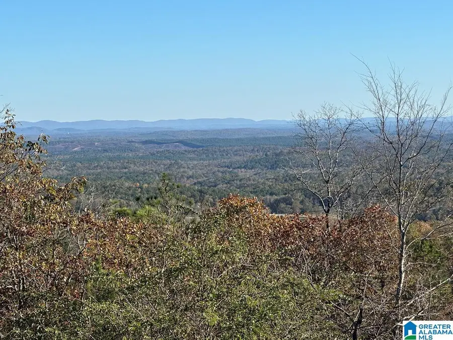 1000 TRAILS END ROAD, Leeds, AL 35094 - Image #2