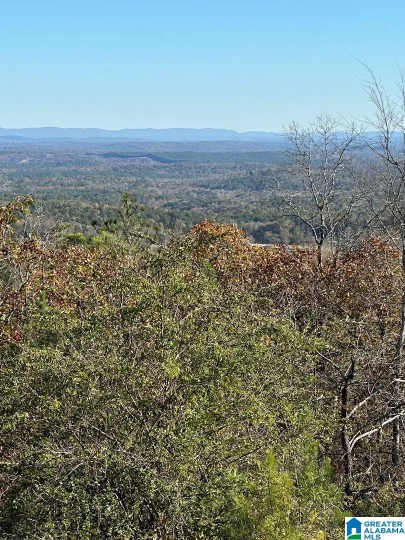 1000 TRAILS END ROAD, Leeds, AL 35094 - Image #3