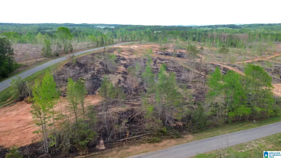 CENTER HILL ROAD, Delta, AL 36258 - Image #2