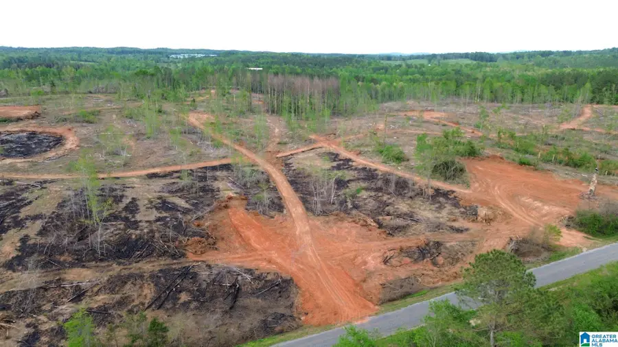 CENTER HILL ROAD, Delta, AL 36258 - Image #3