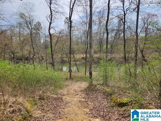 164 SHERWOOD DRIVE, Altoona, AL 35952 - Image #2