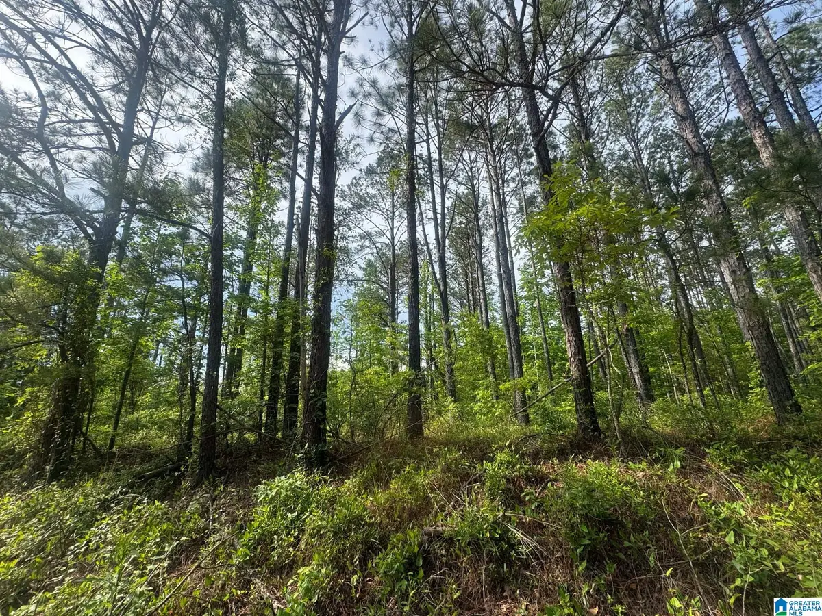 0 COUNTY ROAD 349, Maplesville, AL 36750 - Image #1