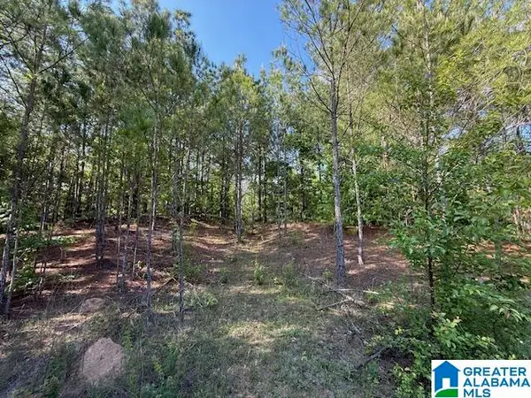 213 SHORE SIDE LANE, Sylacauga, AL 35151