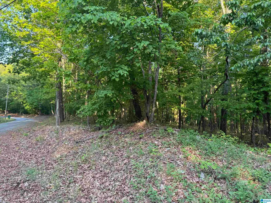 0 DAVIS ACRES DRIVE, Alpine, AL 35014 - Image #2