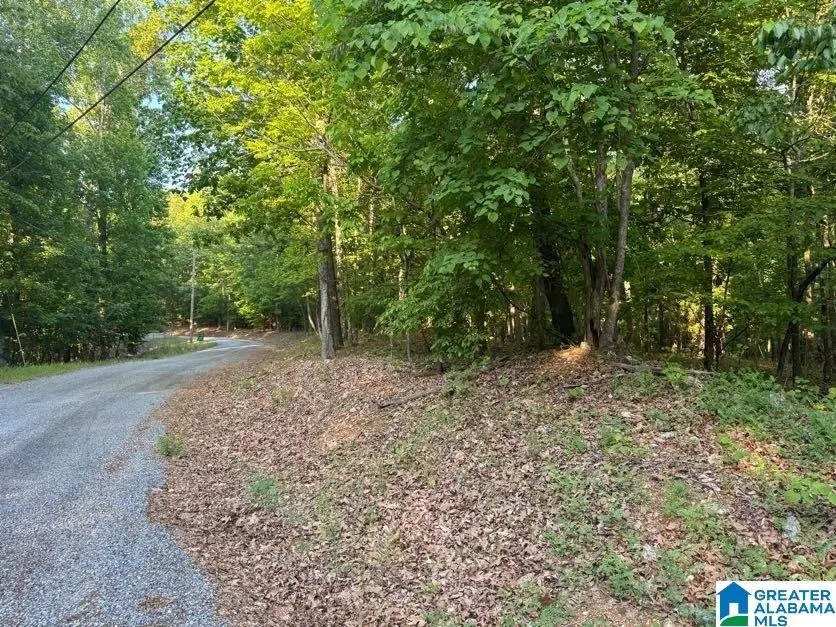 0 DAVIS ACRES DRIVE, Alpine, AL 35014 - Image #3