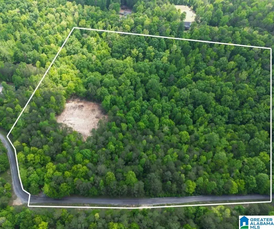 720 TWIN BLUFFS DRIVE, Springville, AL 35146 - Image #1