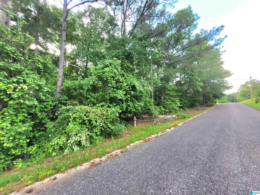 THOMAS AVENUE, Talladega, AL 35160 - Image #2