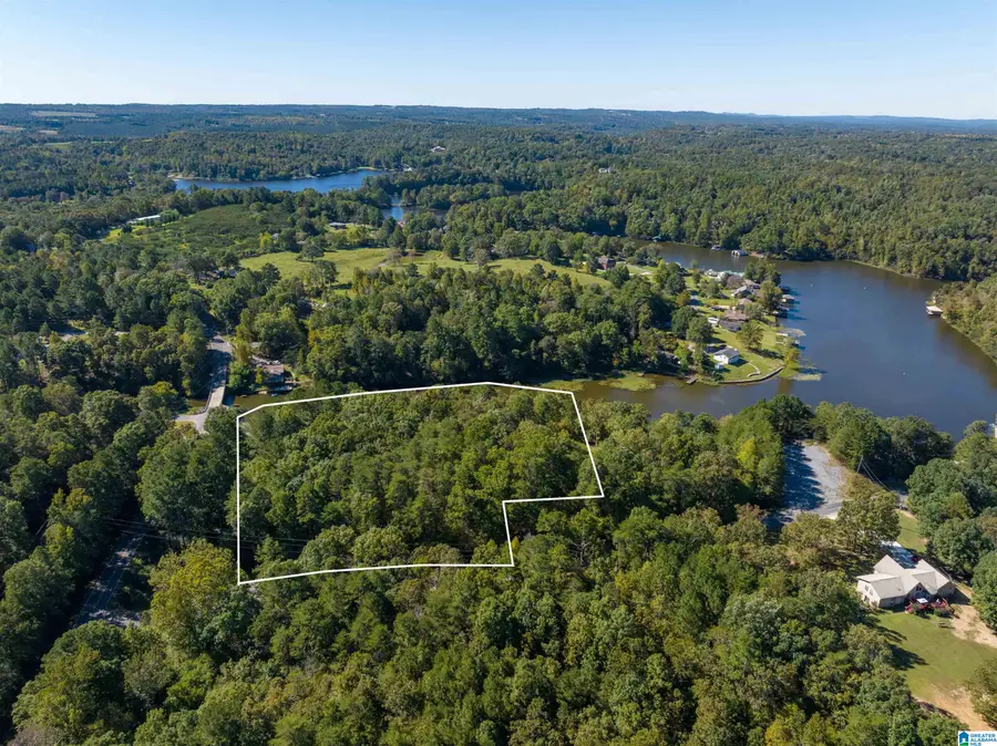 0 W LAKESHORE DRIVE, Oneonta, AL 35121 - Image #2