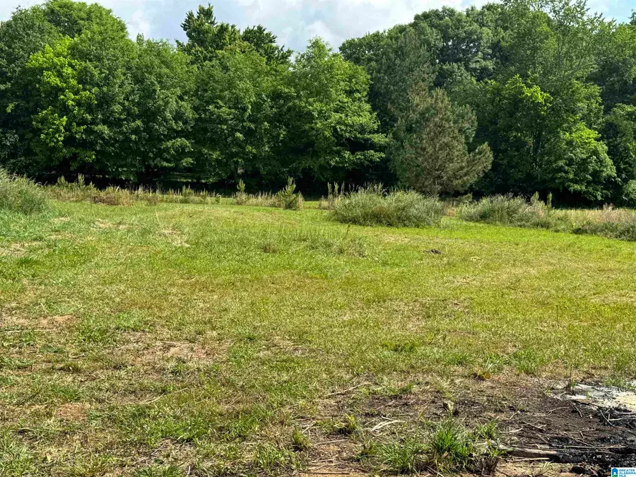 136 DEWEY LANE, Anniston, AL 36202 - Image #2