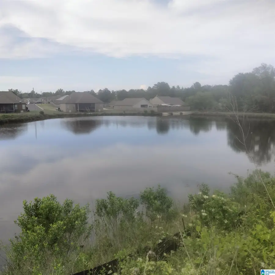 18554 WIREGRASS DRIVE, Vance, AL 35490 - Image #2