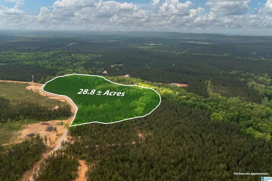 Track 17 HERITAGE PINES WAY, Columbiana, AL 35040 - Image #3