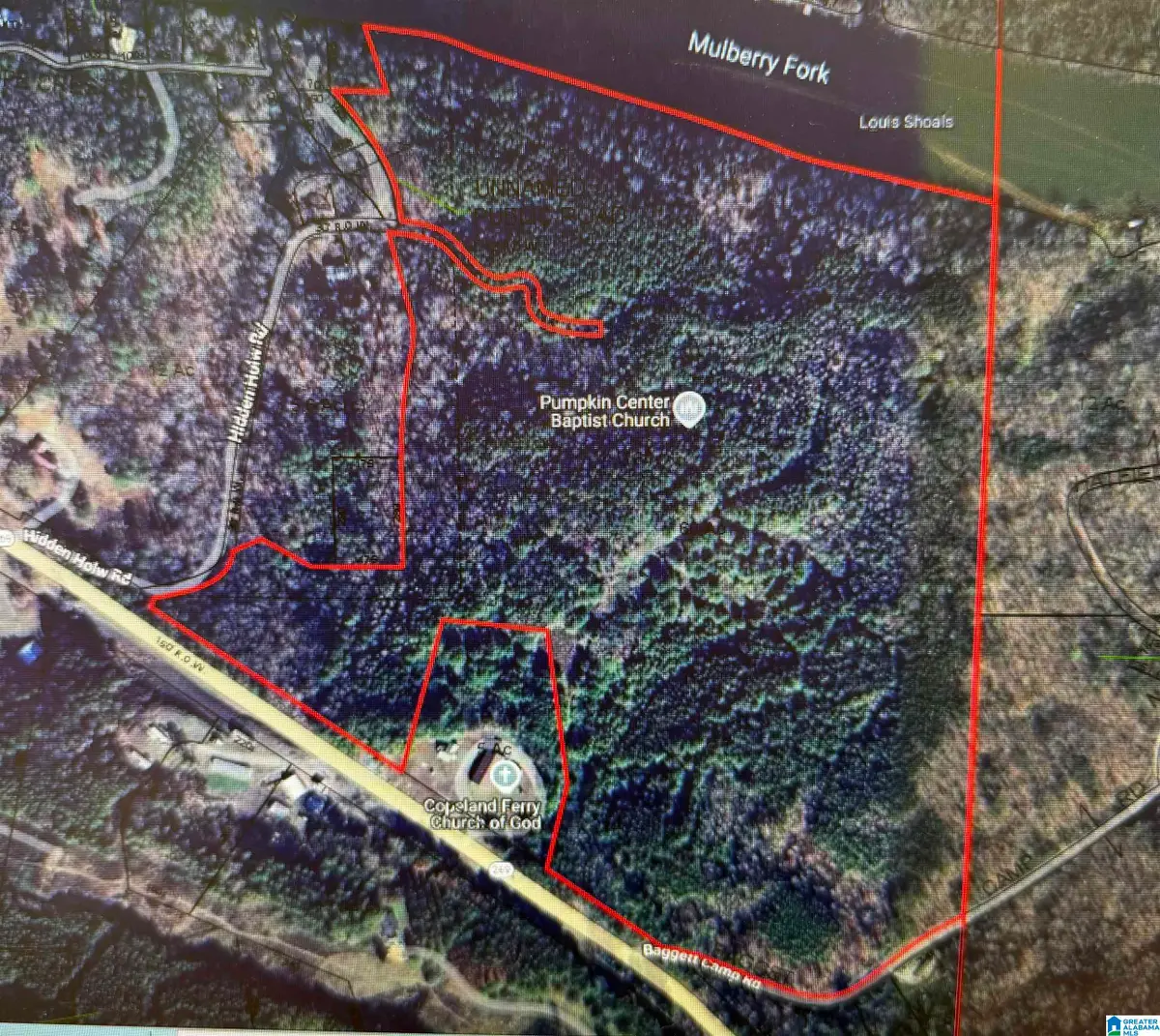 0 HIDDEN HOLLOW ROAD, Quinton, AL 35130 - Image #1