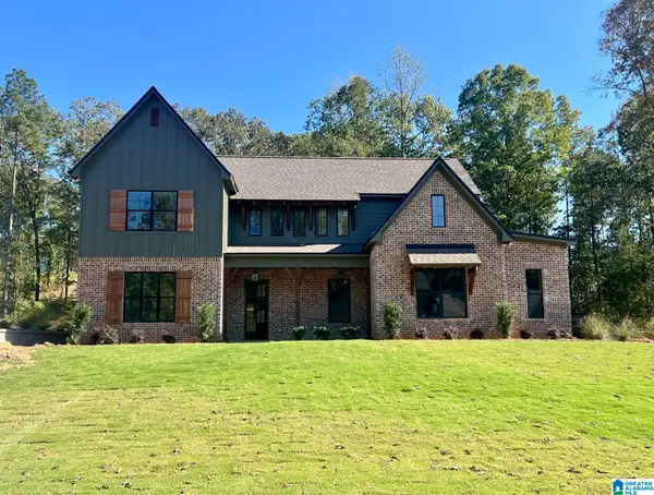 3390 RIVER BIRCH TRAIL, Chelsea, AL 35043