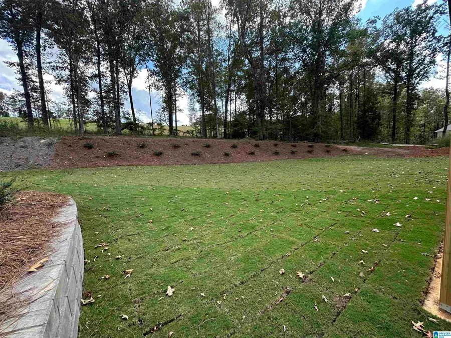 3390 RIVER BIRCH TRAIL, Chelsea, AL 35043 - Image #2