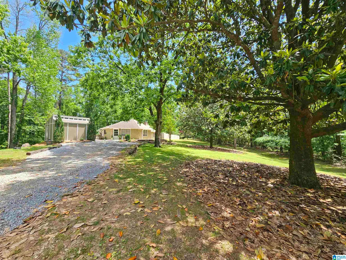 1105 NEWTON ROAD, Springville, AL 35146 - Image #1