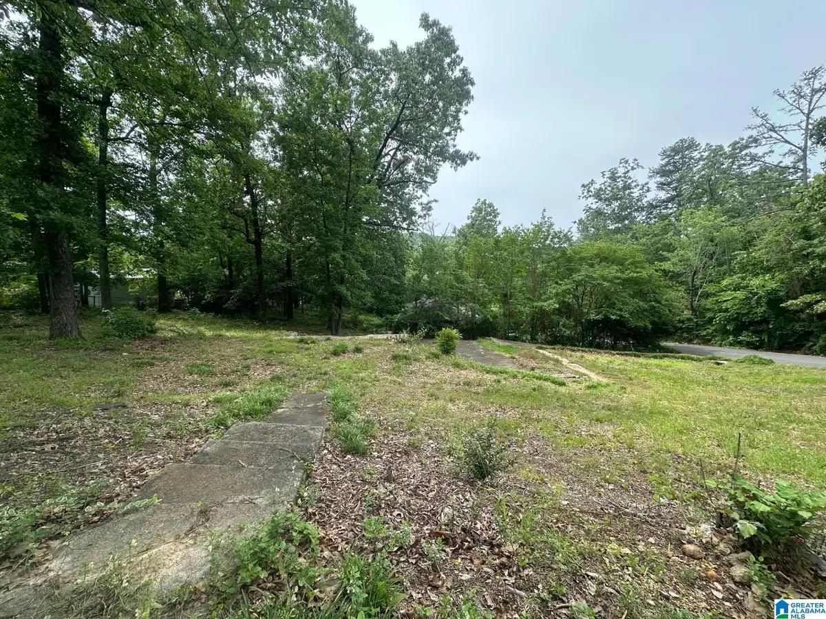 541 MAPLE STREET, Birmingham, AL 35206 - Image #1