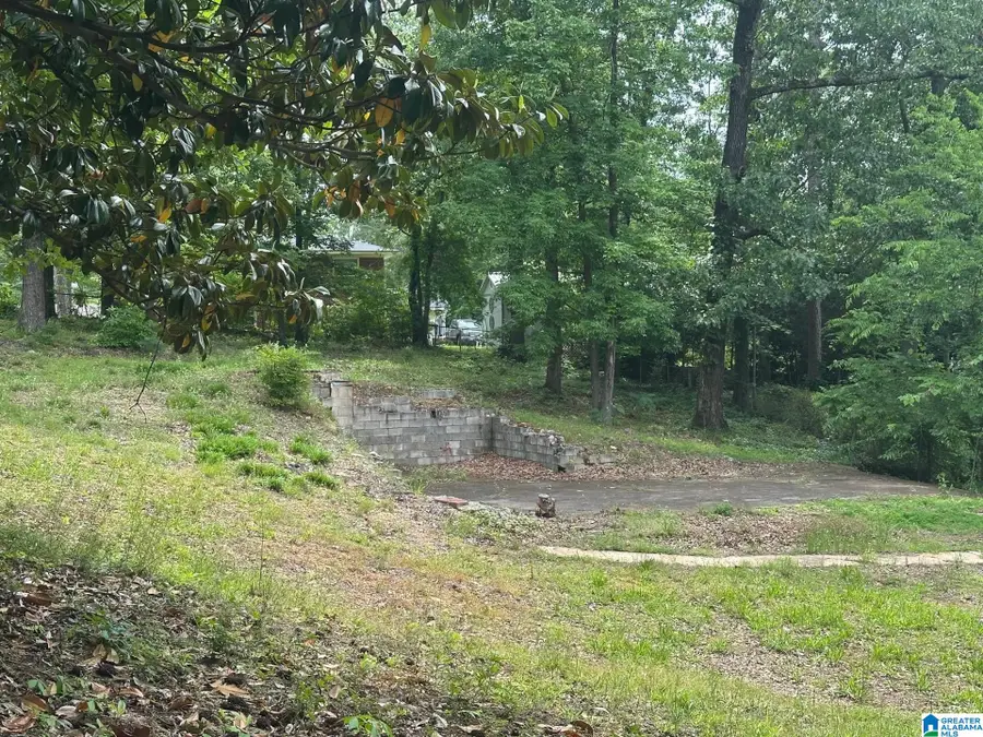 541 MAPLE STREET, Birmingham, AL 35206 - Image #3