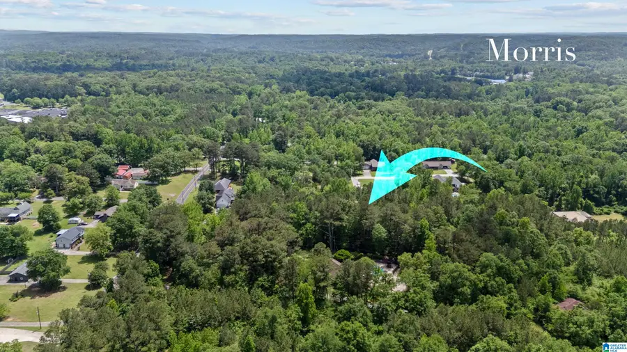 8924 STOUTS ROAD, Kimberly, AL 35091 - Image #3