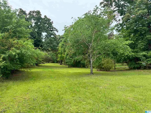 0 TRUMAN ALDRICH PARKWAY, West blocton, AL 35184