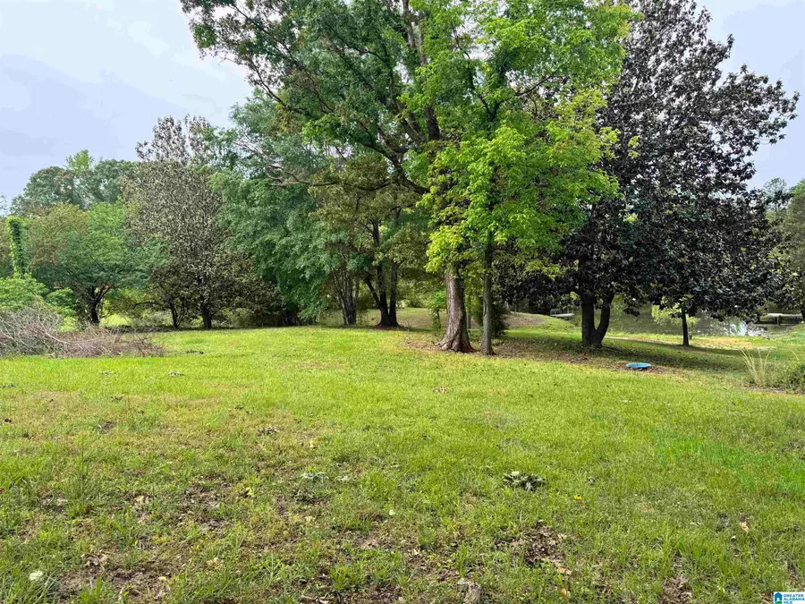 0 TRUMAN ALDRICH PARKWAY, West Blocton, AL 35184 - Image #2