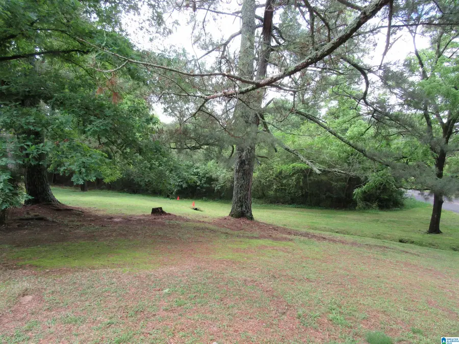 3212 COUNTY ROAD 730, Cullman, AL 35055 - Image #2