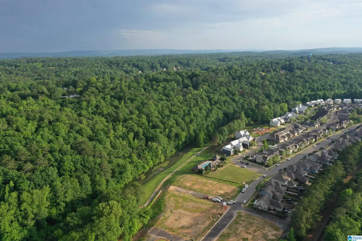 313 YELLOW WOOD LANE, Trussville, AL 35173 - Image #1