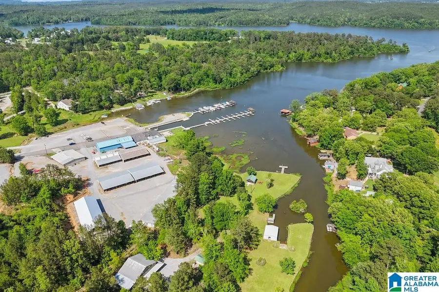 451 PARADISE POINT DRIVE, Columbiana, AL 35051 - Image #2