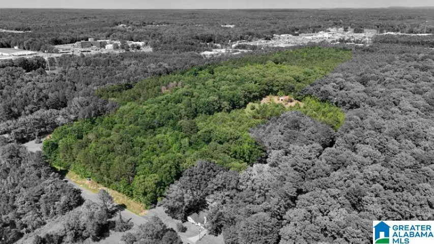 0 JONES DAIRY ROAD, Jasper, AL 35501 - Image #2