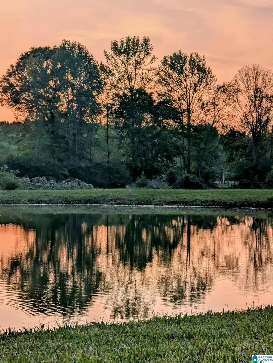 12325 US HIGHWAY 411 N, Centre, AL 35960 - Image #2