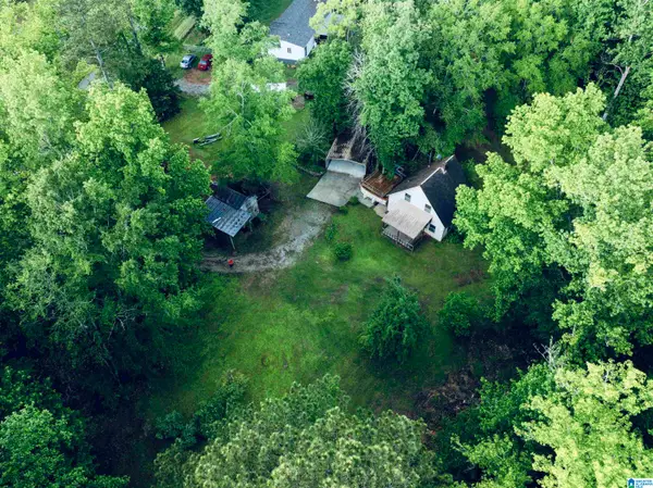 1790 MOUNT VIEW ROAD, Wellington, AL 36279