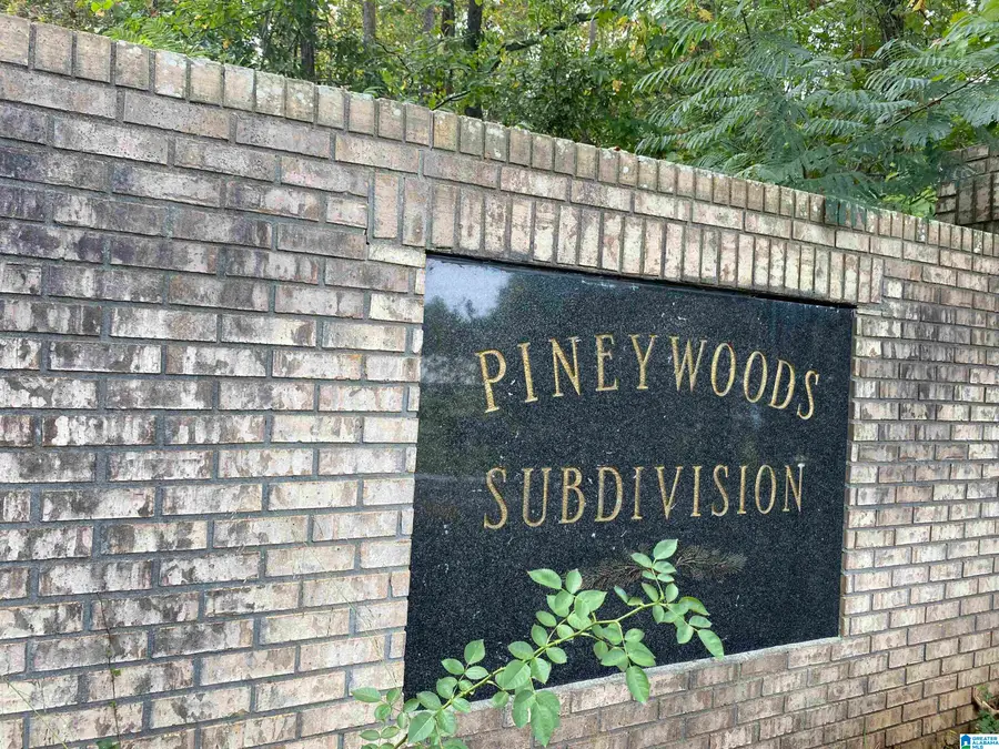 Lot 6 PINEYWOODS DRIVE, Wedowee, AL 36278 - Image #3