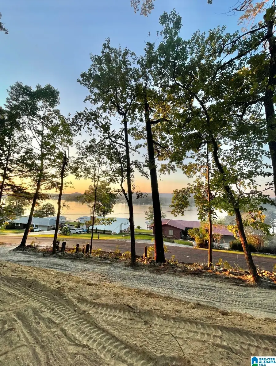 1169 LAKEMONT DRIVE N, Southside, AL 35907 - Image #3