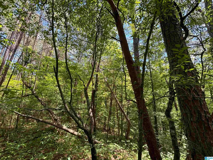 7454 NARROWS ROAD, Pinson, AL 35126 - Image #3