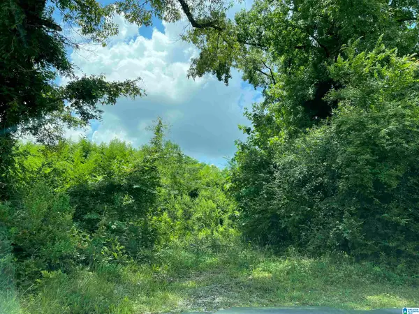 5584 HIGHWAY 25, Montevallo, AL 35115